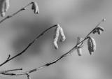 It's Spring