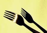 My Forking Shadow