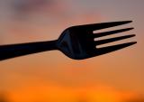 Sunset Fork
