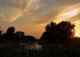 Sunset At The Pond