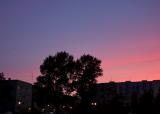 Pink Sky And Moon