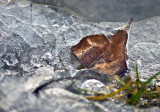 Frosty Weather