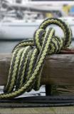 Black-Yellow  Knot