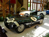 Jaguar D-Type