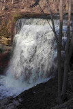 Great Falls - 001.jpg