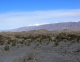 Death_Valley_Sand_Dunes_235.jpg