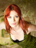 IMG_5942t.jpg