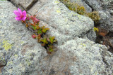 DSC_2329  pbase.jpg