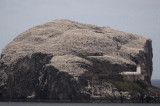 DSC_7165 Bass Rock