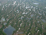 IMG_0331 heli.jpg