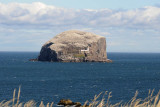 DSC_9902 Bass Rock.jpg
