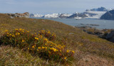 DSC_3452 Hornsund vk.jpg