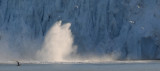Monacoglacier- splash after icefall