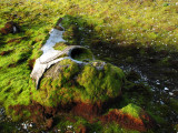 Bowhead skull -  Groenlandse walvis schedel.jpg