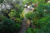 Portofino 10012008 055.jpg