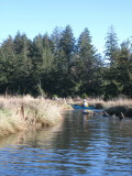 Bruce entering a back channel.