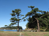 Looking west from same location; Fox Cove.