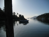 Scoter barely visible, morning light on Fossil Bay.  Stan Johnson photo.
