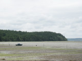 W_07ClammerBay.jpg