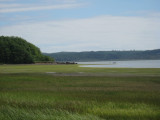 W_11GrassBayPinnacleRock.jpg