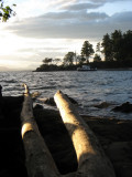 Looking across the cove.
