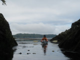 Lotta bull kelp, anenomes, etc., in there.