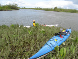 Center of Marsh Island rest stop.  I managed to stumble in the mud, yarding Terry and her boat out of the water.