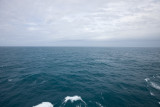 Across the Tasman Sea