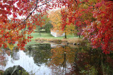 Turning Mill Pond, Autumn