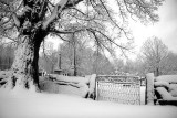 Canterbury Village Cemetery, Winter 3