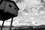 Vancouver Coal Harbour