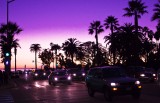 twilight palm, santa monica
