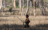 ASSAM - KAZIRANGA NATIONAL PARK ASSAM INDIA - HONEYCOMBS (12).JPG