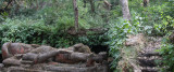 MADHYA PRADESH - BANDHAVGAR NATIONAL PARK MADHYA PRADESH INDIA (25).JPG