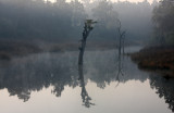 MADHYA PRADESH - KANHA NATIONAL PARK MADHYA PRADESH INDIA (5).JPG