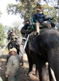 MADHYA PRADESH - KANHA NATIONAL PARK MADHYA PRADESH INDIA (8).JPG