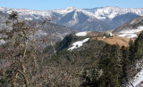 YUNNAN - JADE DRAGON SNOW MOUNTAIN AND SURROUNDING RANGES - PINE, FIR AND SPRUCE COMMUNITIES (9).JPG