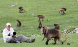 PRIMATE - BABOON - GELADA BABOON - SIMIEN MOUNTAINS NATIONAL PARK ETHIOPIA (142).JPG