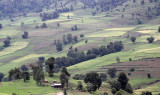 BALE MOUNTAINS NATIONAL PARK ETHIOPIA (9).JPG