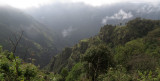 SIMIEN MOUNTAINS NATIONAL PARK ETHIOPIA (49).JPG