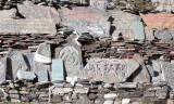 SAI ZONG GOMPA - WHITE MONKEY TEMPLE - QINGHAI CHINA (20).JPG