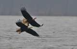 DSC_0137-667.jpg
