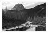 Below Takakkaw Falls BW.jpg