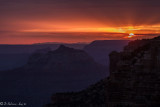 North Rim from Cape Royal