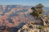 South Rim near Lipan Point