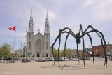 Spider-and-Notre-Dame.jpg