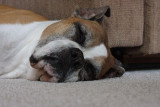 ISO 6400+ Equiv - Full Size