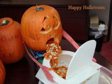 Pumpkin Puke
