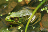 HT1_8377.JPG