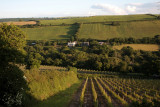 View from Lions Barn, Camel Valley